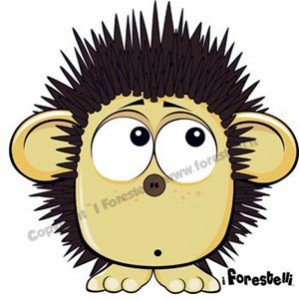 casette per ricci Il riccio dei forestelli